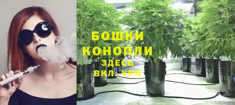 OMG маркетплейс  Верхняя Салда  Бошки марихуана SATIVA & INDICA  закладки 